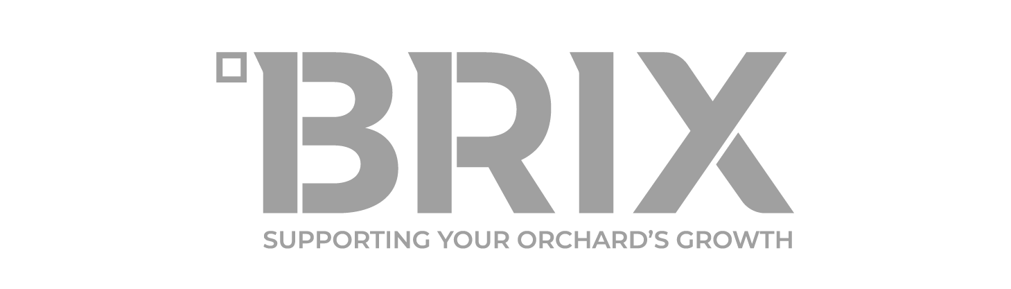 Brix